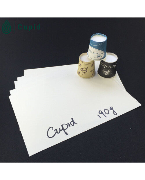 190gsm high quality pe coated paper in sheet